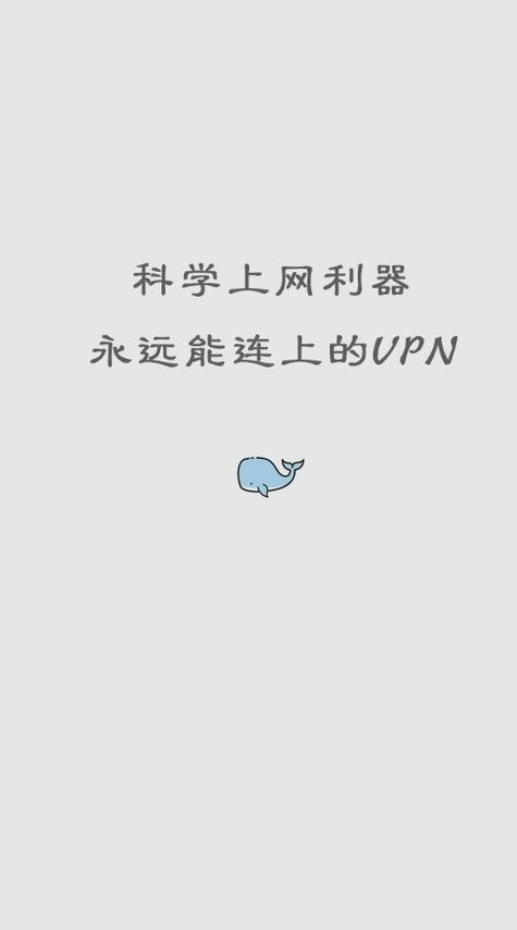 白鲸加速器app官网下载指南插图