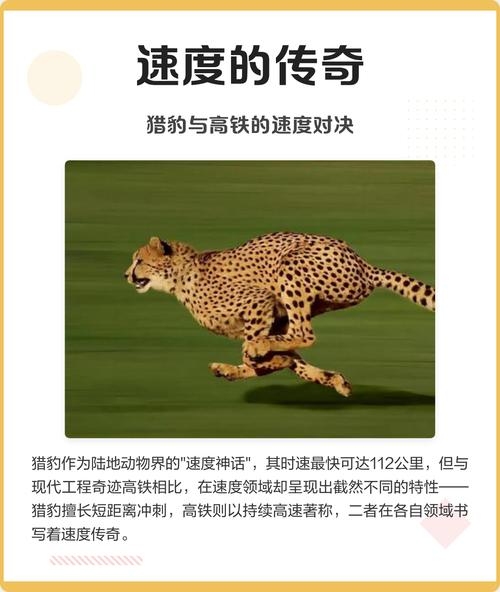 超速猎豹，速度极限探索插图