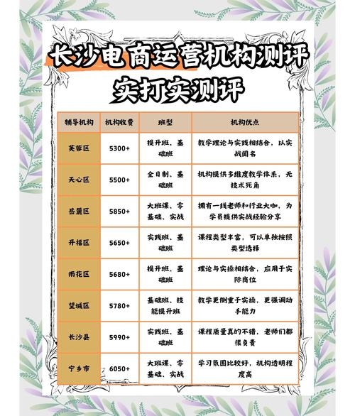 长沙网络运营公司概览插图 长沙网络运营公司概览插图