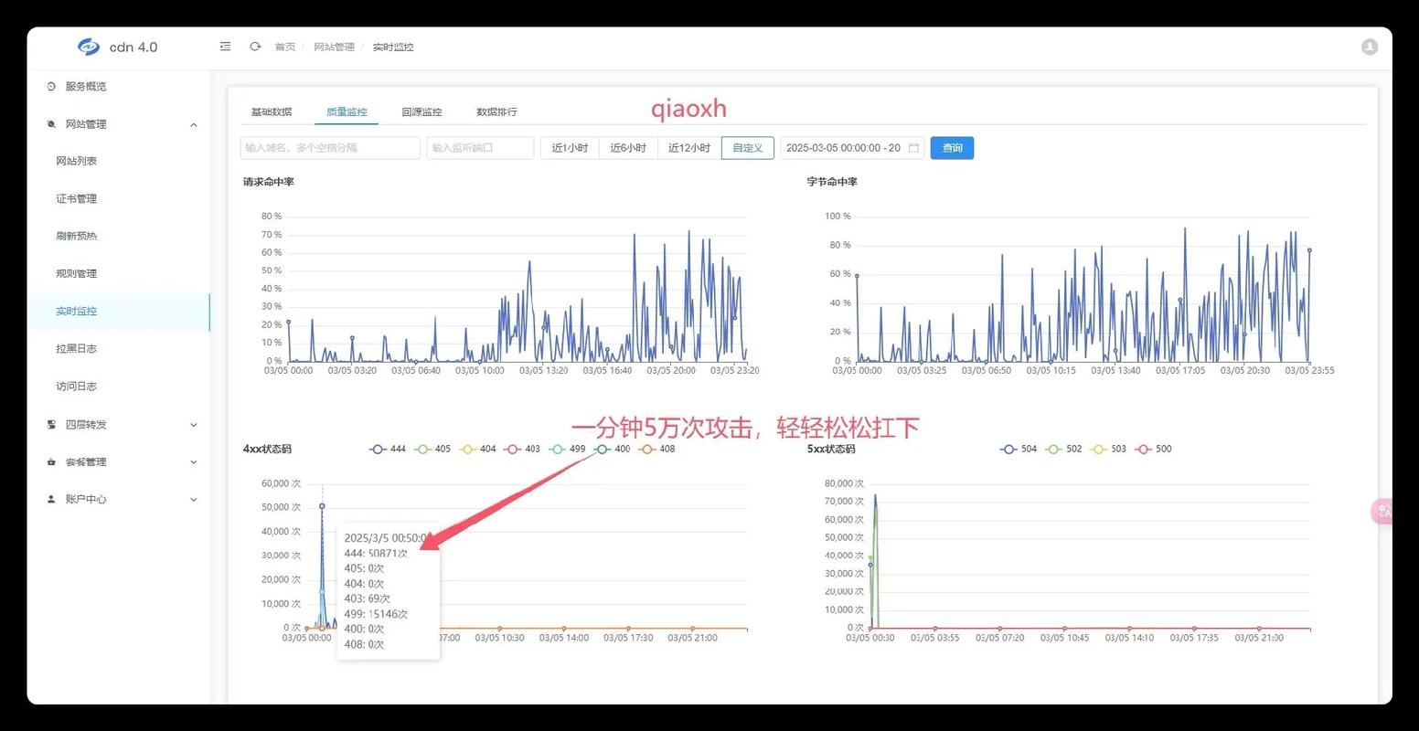服务器流量攻击，防御与恢复策略插图
