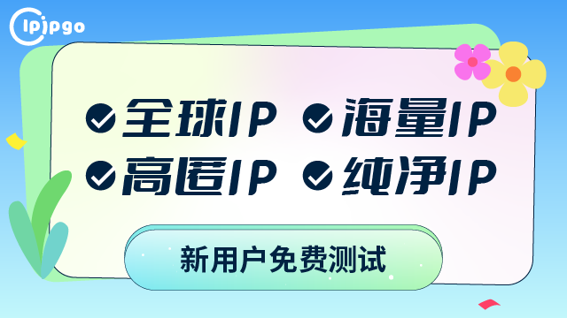 国外Socks5代理IP购买指南，步骤与使用建议插图