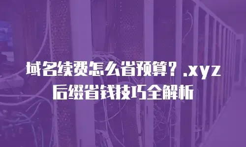 关于xyz后缀域名的探讨插图