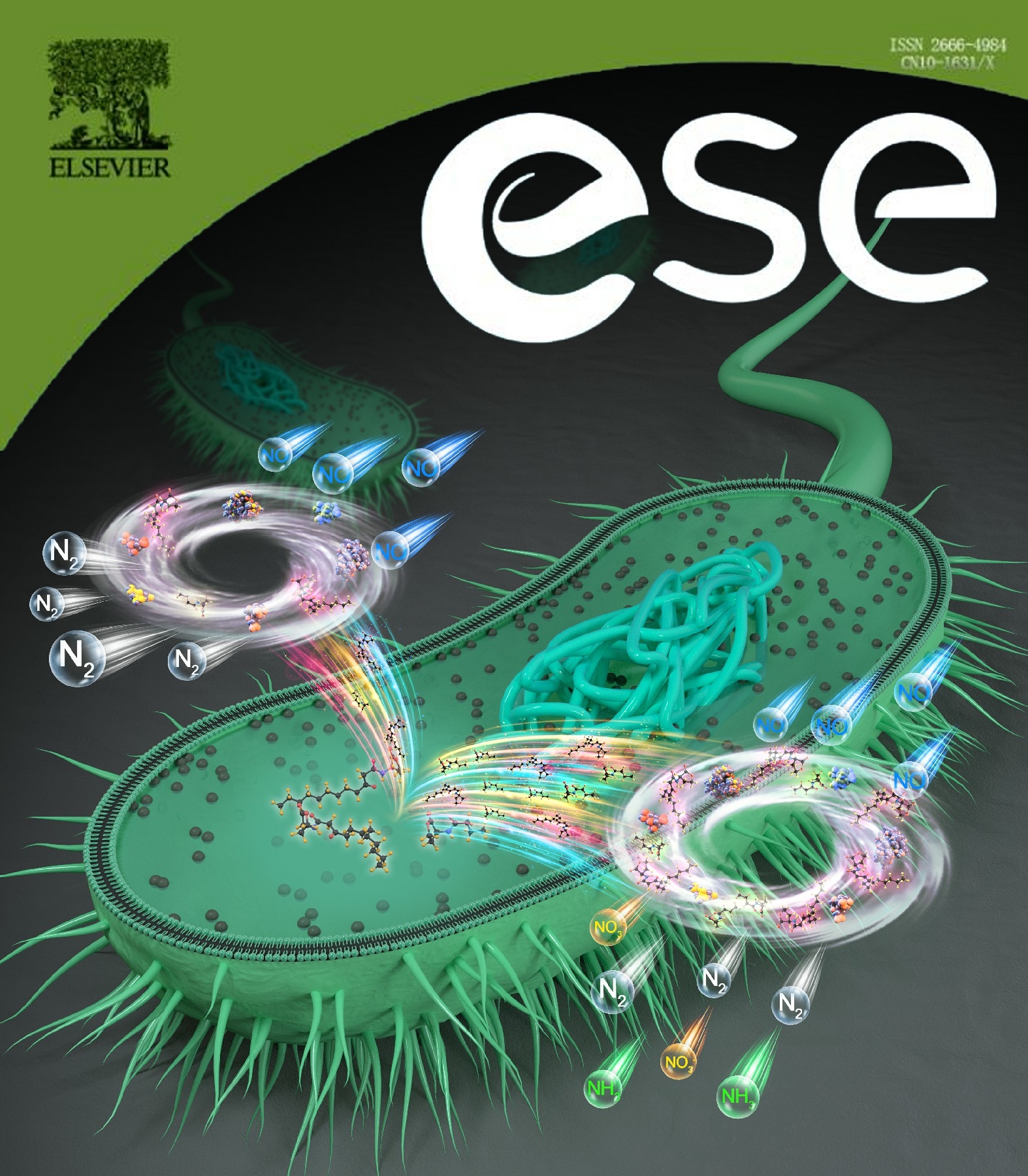 哈尔滨专业建站价格及东方科技企业优势特色介绍插图 哈尔滨专业建站价格及东方科技企业优势特色介绍插图