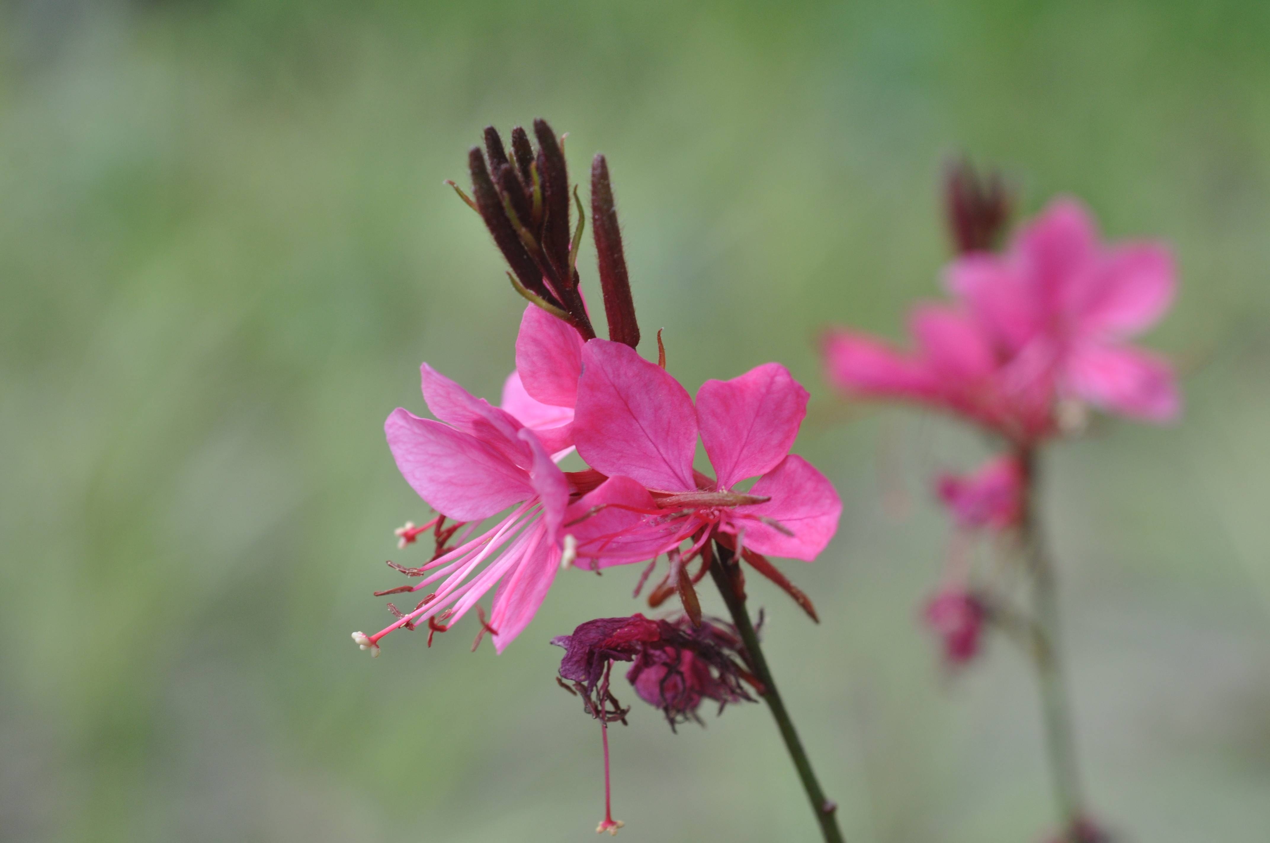 机房设备年度维保服务合同印花税与物业能耗费解析及应对房地产相关问题的策略探讨。插图