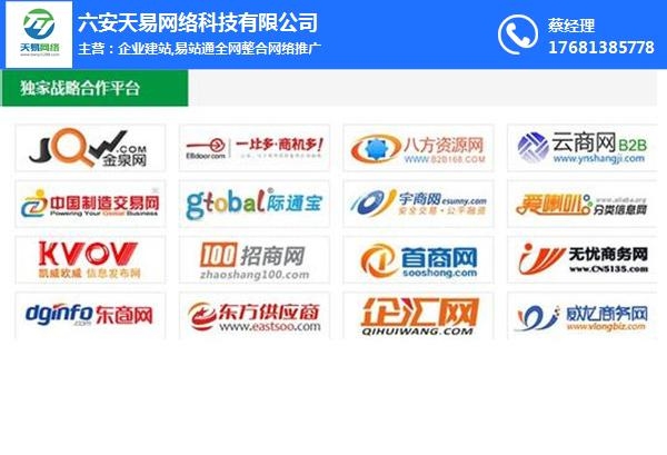 六安SEO专业，探索与发展的新篇章插图