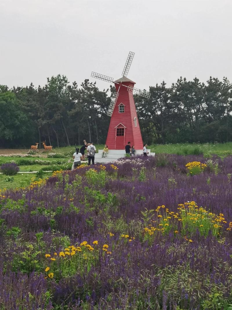 龙口森林小镇设备生产资讯插图 龙口森林小镇设备生产资讯插图