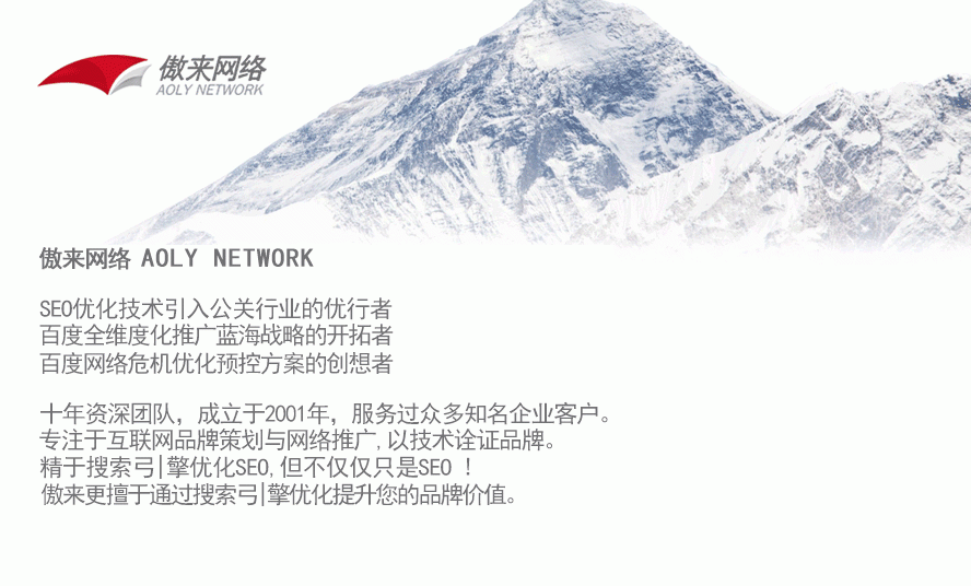 龙岗SEO优化公司排行插图