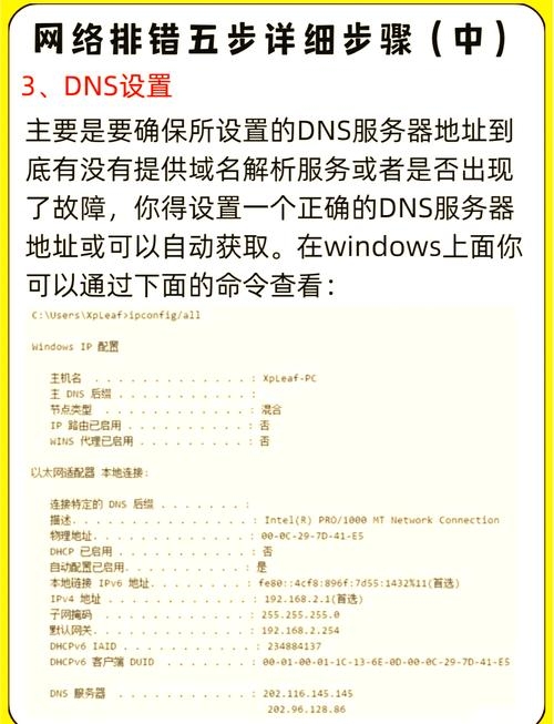 面对国外服务器上的网站建设,如何有效打击非法活动与不良内容插图 面对国外服务器上的网站建设,如何有效打击非法活动与不良内容插图