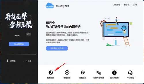 内网穿透搭建SSR，步骤与技巧插图