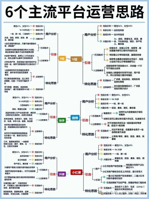 平台运营经验，探索成功运营的秘诀与挑战插图