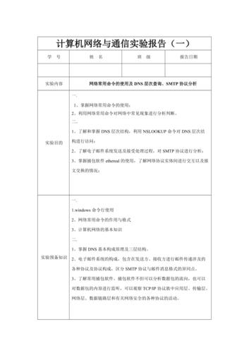 企业网络搭建与应用实验报告技巧插图