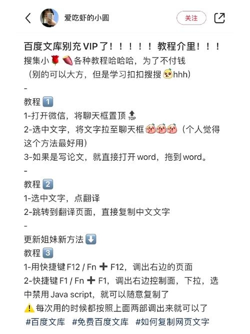 如何复制网页源代码中的文字？插图