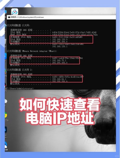 如何获取美国IP地址插图