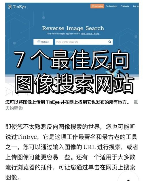 深入了解网站反向链接查询插图