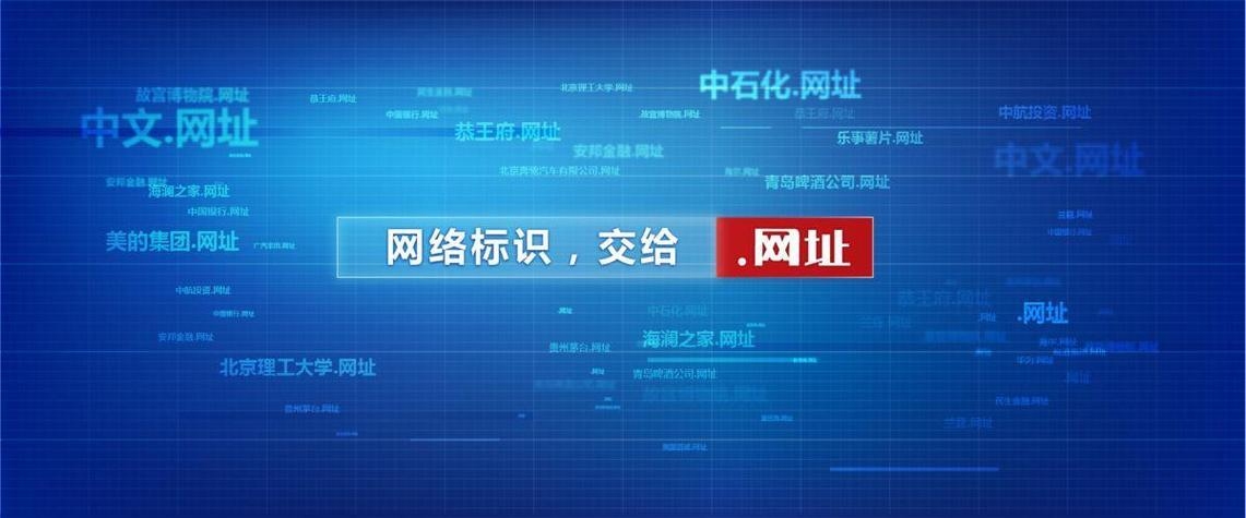 我国一级域名的发展与展望插图