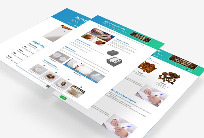 外贸网站建设选择指南，专业搭建独立站的全解决方案提供商探讨与推荐插图