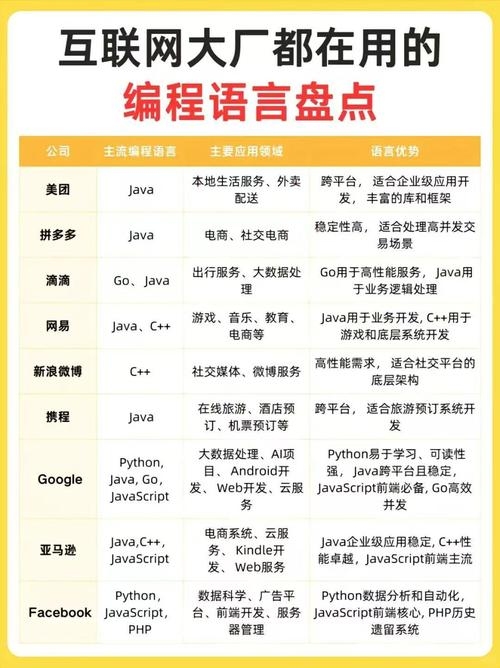 网页开发语言综合运用插图