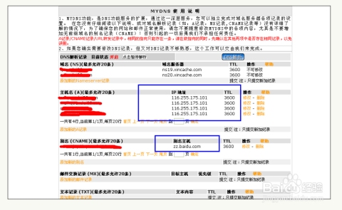 网站域名解析与IP查询，快速获取信息的方法插图