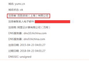 网站域名拍卖最高价揭秘插图