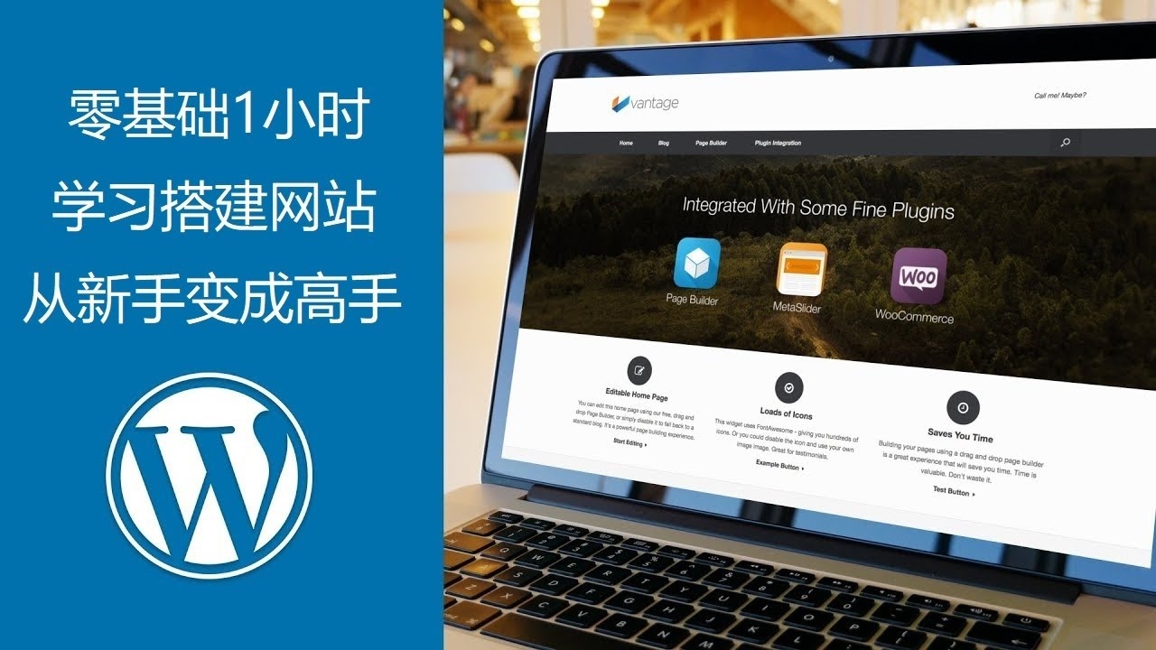 网站制作论坛教程，从建站基础到成功搭建的指南插图