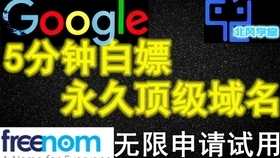 免费申请域名教程，如何获取Freenom等平台的免费域名及二级域名的注册方法？插图