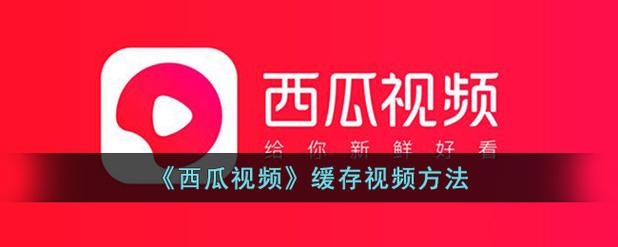 西瓜视频APP缓存下载教程插图