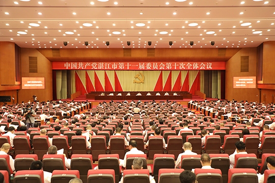 湛江市网站建设，打造现代化网络门户的坚实步伐插图