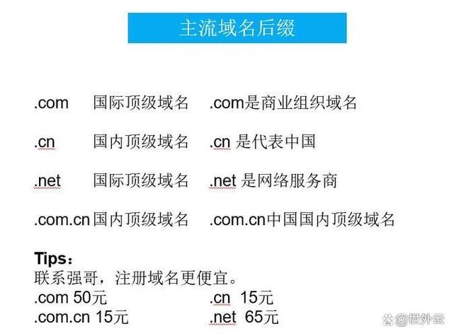 顶级域名的重要性与价值插图
