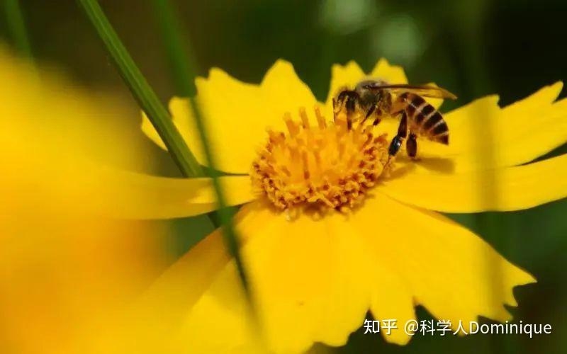 揭秘动画代码，定义、应用与重要性插图