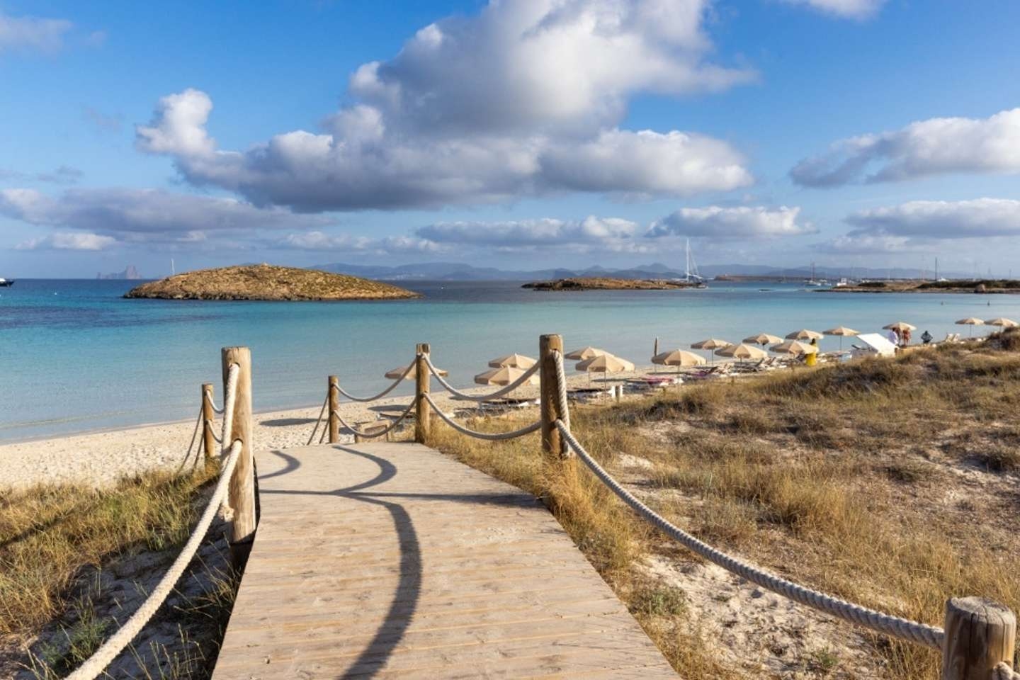 探索个人博客的创作空间,哪些网站适合开启个人博客?插图 探索个人博客的创作空间,哪些网站适合开启个人博客?插图