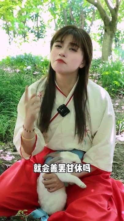 探索黄页网，安全欣赏害羞草的奇妙世界插图