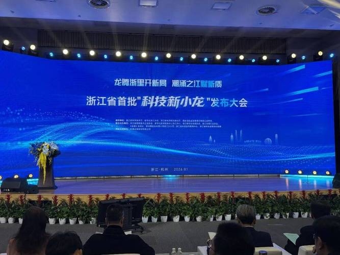 温州开发网站公司的蓬勃发展与创新实践插图