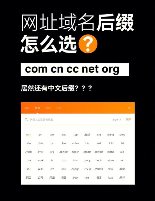 CC开头的网址域名，探索与未来展望插图