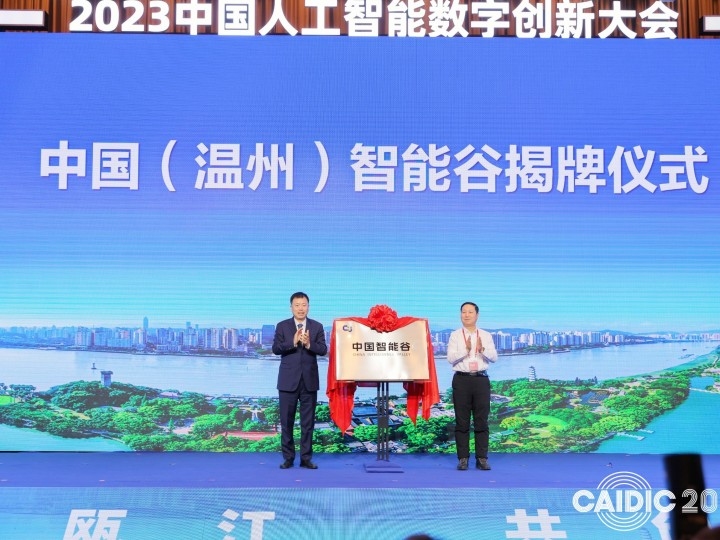 温州首个涉足网络领域的公司，引领潮流，铸就辉煌插图