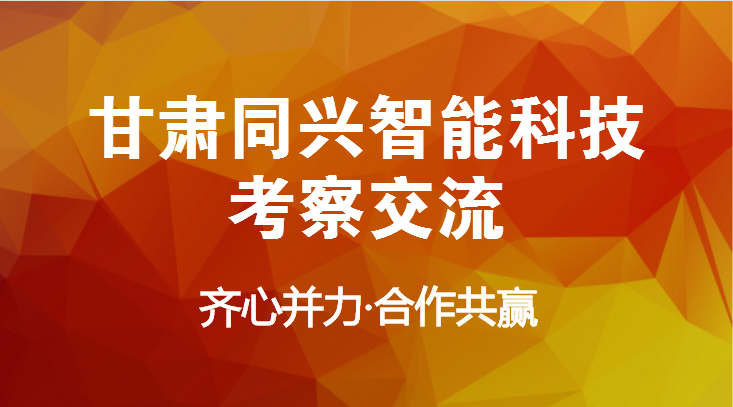 甘肃网络科技公司福利与实力双优插图