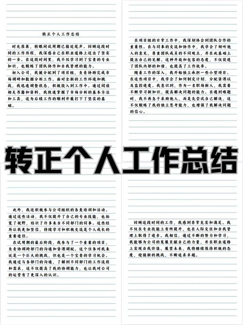 信息化个人工作总结与转正心得插图