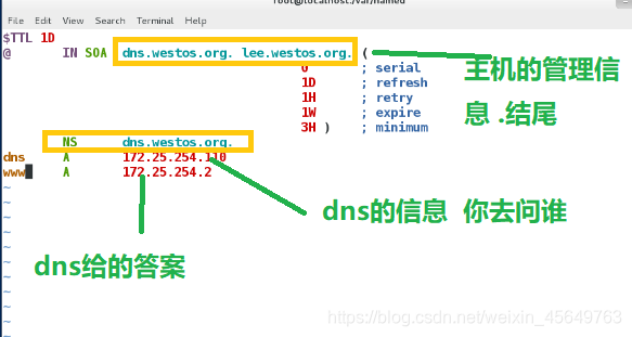 DNS解析缓存解析,网络中的关键概念插图 DNS解析缓存解析,网络中的关键概念插图