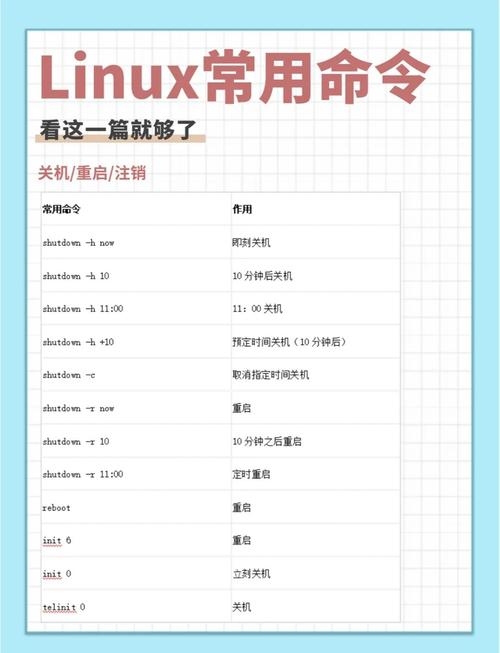 Linux常用命令大全，菜鸟进阶宝典插图