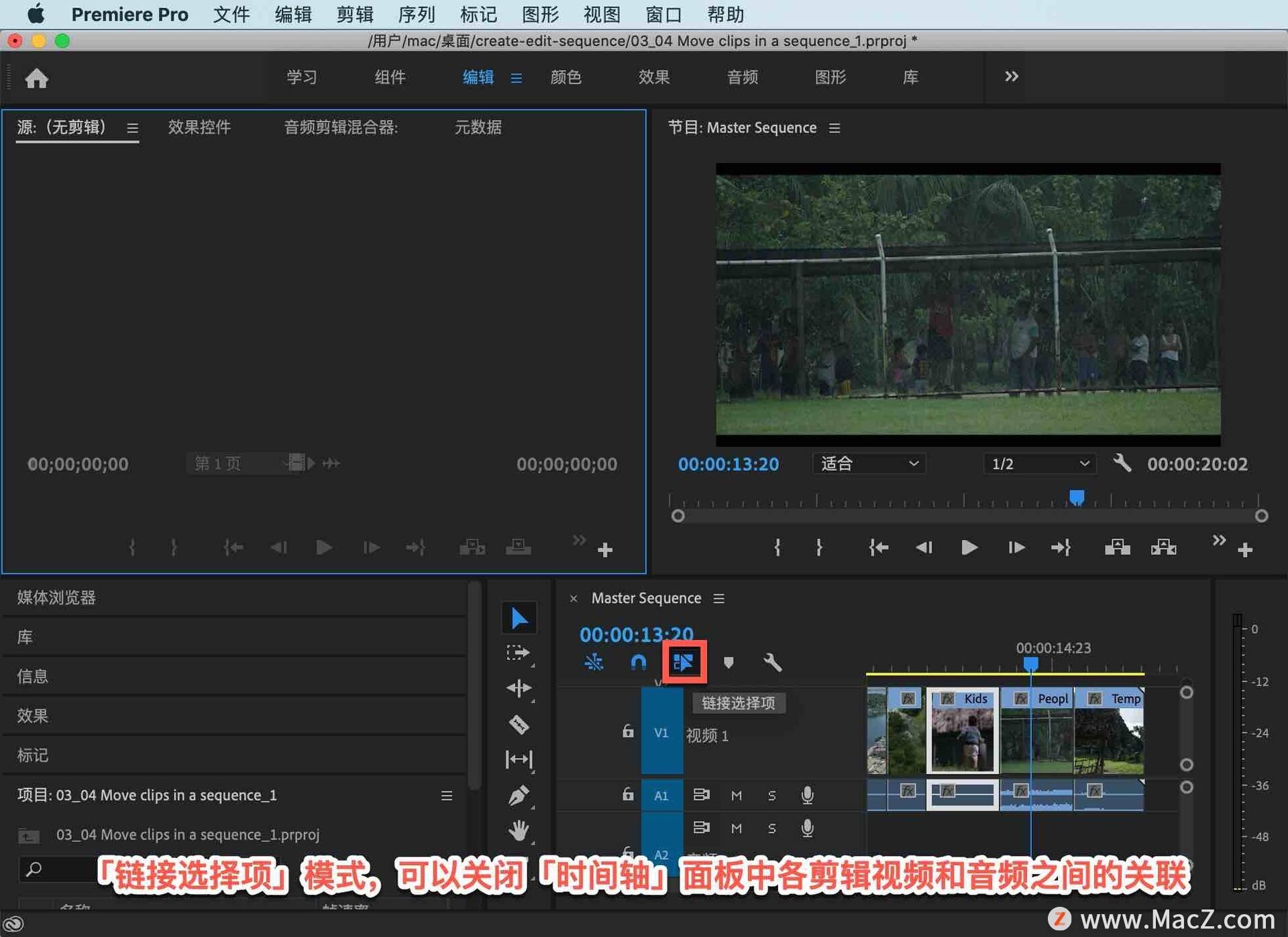 pr剪辑快速找素材网指南插图