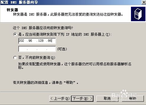 2003 DNS设置详解插图