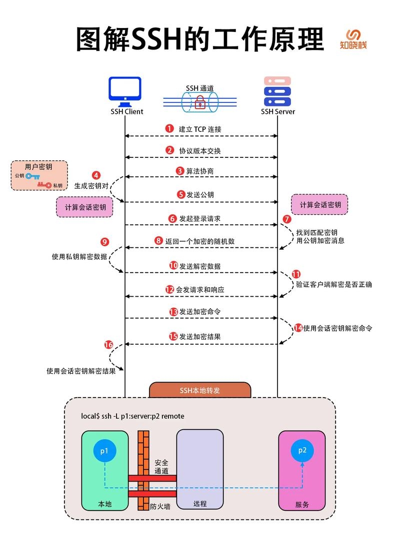 DHCP协议的运作模式插图