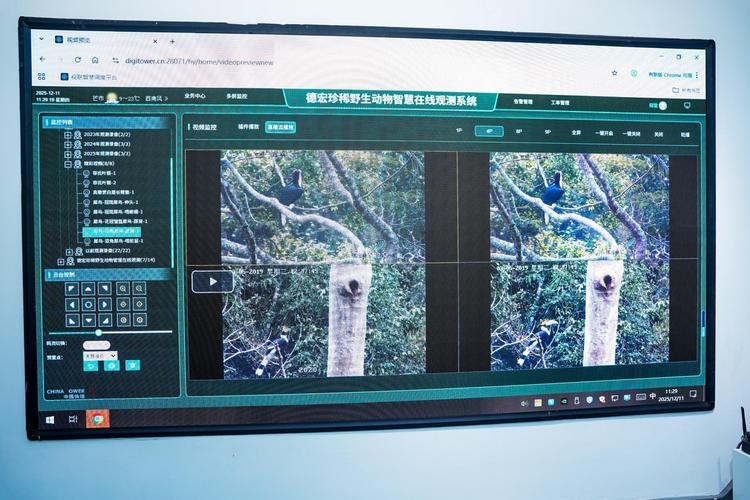 柬埔寨VPS，探索其在数字化时代的应用与价值插图
