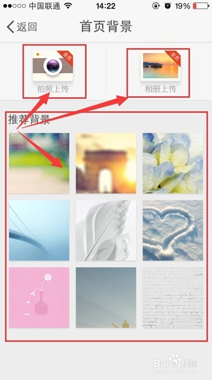 span标签边框与背景图应用技巧及开发实践指南插图