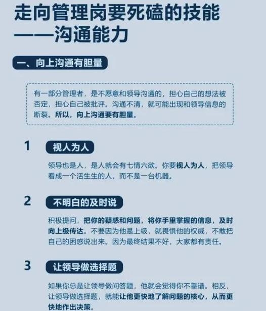 SEO与SEOo，巧妙沟通的力量插图