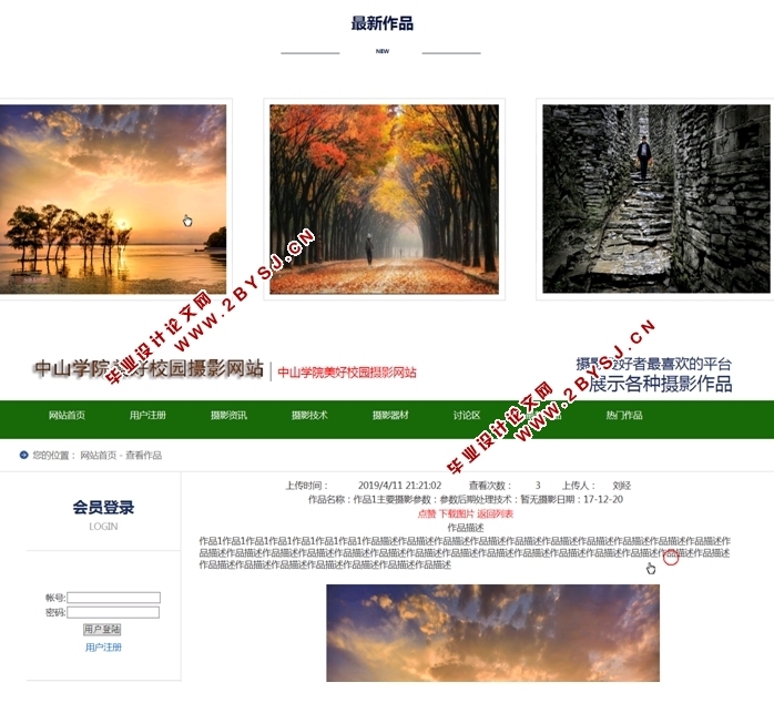 摄影网站开发背景插图
