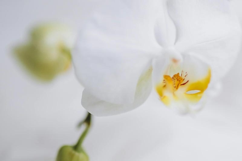 英文网站响应式设计，自适应终端与用户体验至上插图