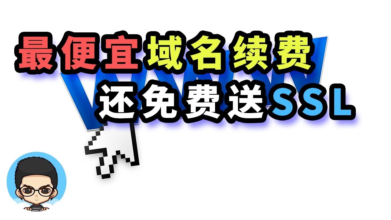 最便宜的域名续费选择插图