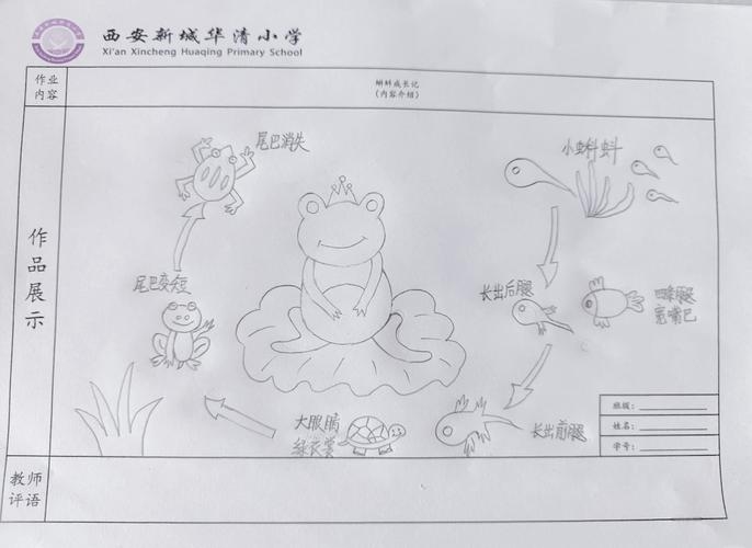 站长统计小蝌蚪，数据背后的故事插图