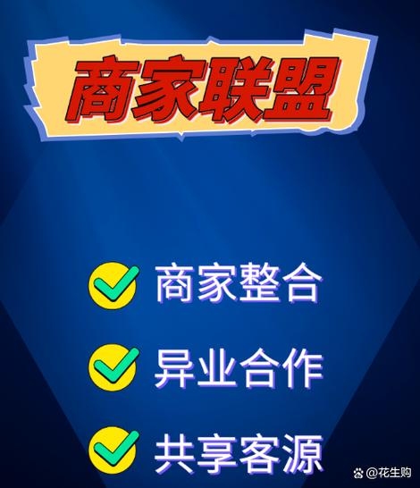 中国B2B联盟的崛起，推动行业交流与合作插图