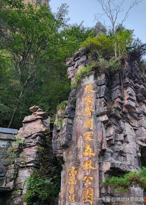 张家界永定区委官方网站首页的探索与解读插图